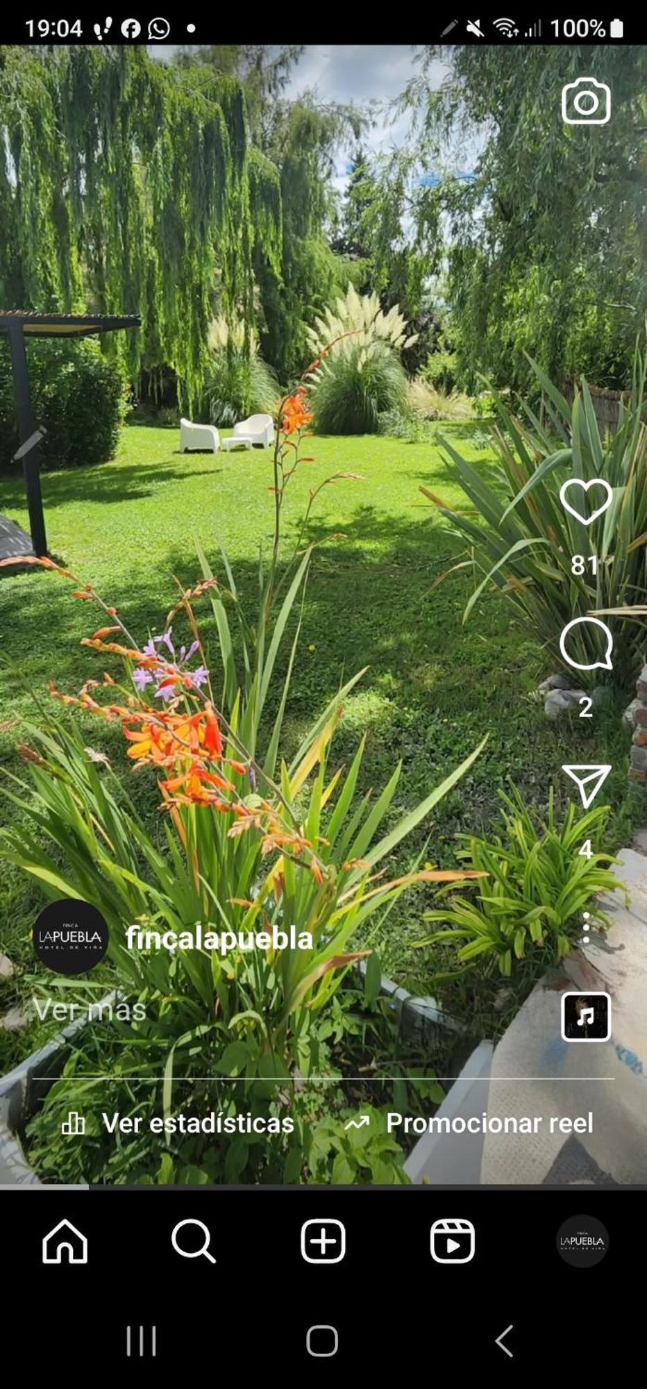 Finca La Puebla Hotel La Consulta Buitenkant foto